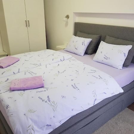 Apartman Luka Novigrad Istria المظهر الخارجي الصورة