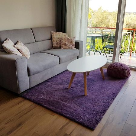 Apartman Luka Novigrad Istria المظهر الخارجي الصورة