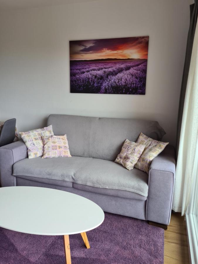 Apartman Luka Novigrad Istria المظهر الخارجي الصورة