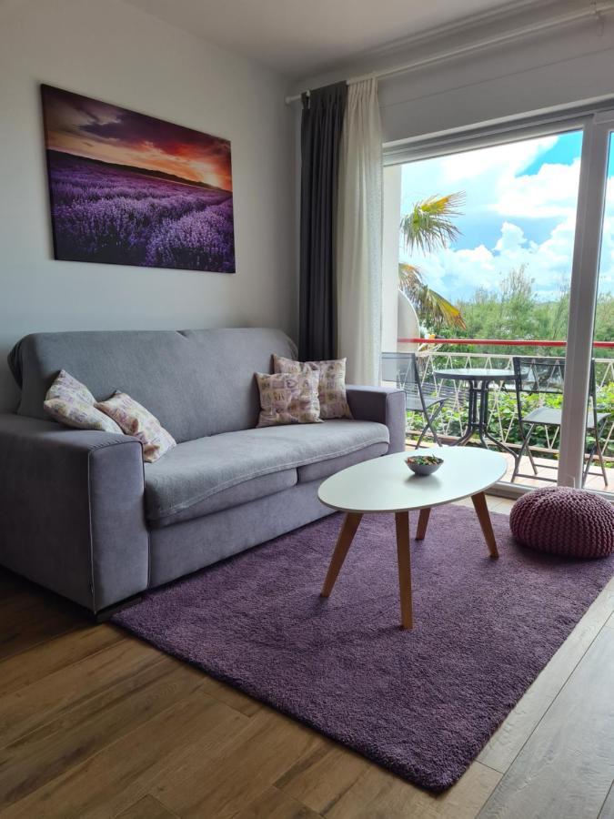 Apartman Luka Novigrad Istria المظهر الخارجي الصورة