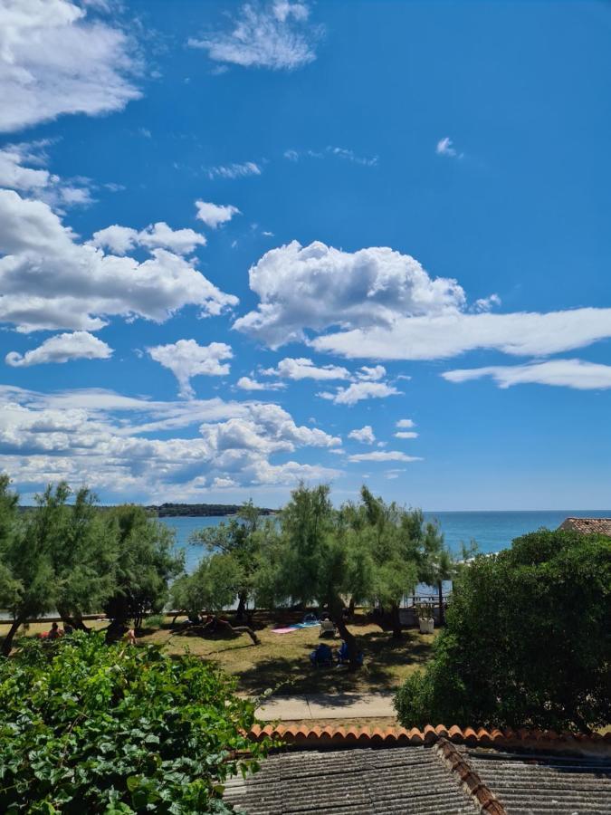 Apartman Luka Novigrad Istria المظهر الخارجي الصورة